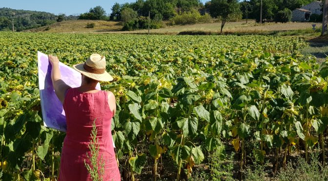 Herbstkurse ab 7.9.21